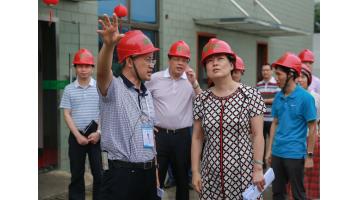 嘉峪关市委常委、副市长陈颖一行莅临公司调研