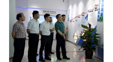 国度知识产权局调查团莅临公司调研