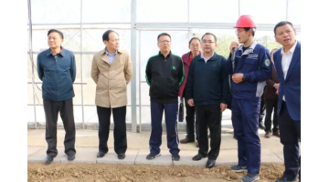 湖北生态环境厅党组成员、副厅长李瑞勤调研公司农用地建复项目