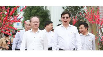 相约春天 | 合乐HL8第三届桃花艺术节圆满进行