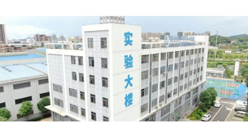 合乐HL8获自治区沉点尝试室认定