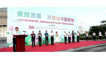 生态之美 | 陇南市爱莲湖公园成“打卡地”