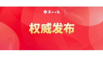 陈刚：以两全建好“两个生态”为牵引，，，，，加快建设南丹关键金属高质量发展综合试验区